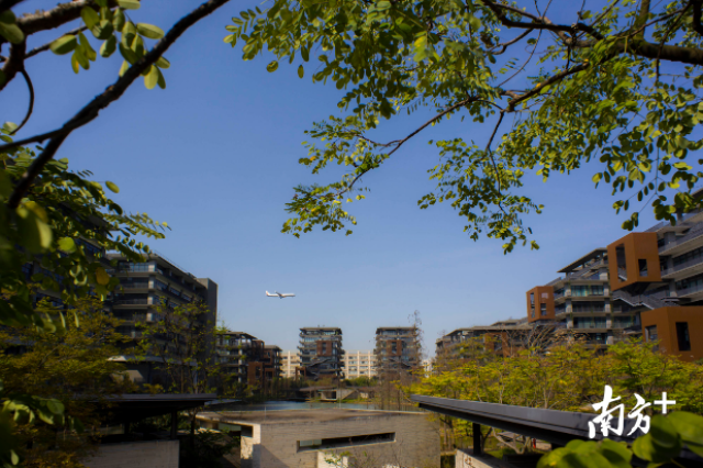 撒花!宝安区泰华梧桐岛入选2018华南区优秀产业园20强