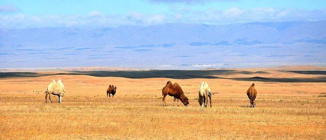 中国名字最长的地方,多亏一个外国人,这里才没