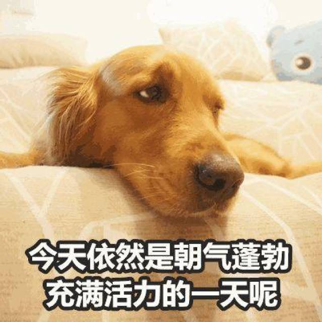我很好,我没事,玩你的游戏去吧「口是心非表情包」