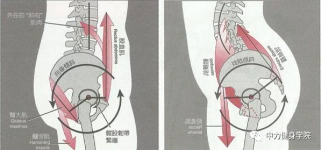 下交叉综合症图解图片