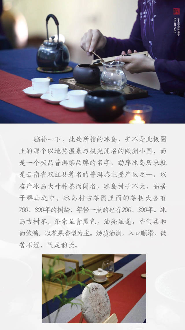 香茗茶韵 结缘望府——望府大院冰岛品茗会