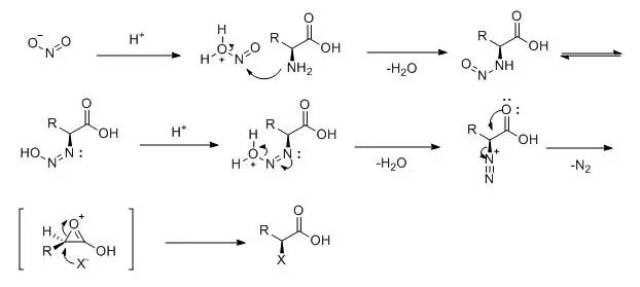 α-氨基酸的重氮化取代反应