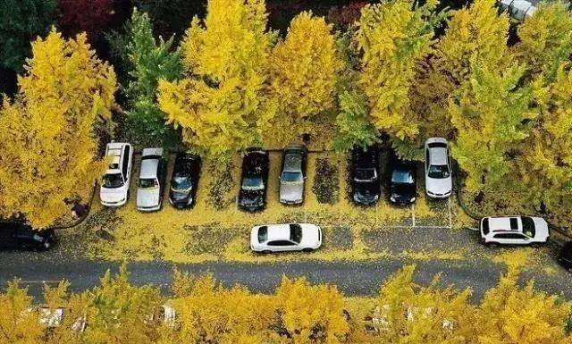 就一个停车位,人家都绞尽脑汁做创意(附最新停车场规范)