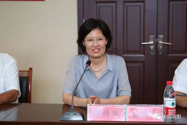 北京大学南南合作与发展学院学术院长,教授傅军讲话