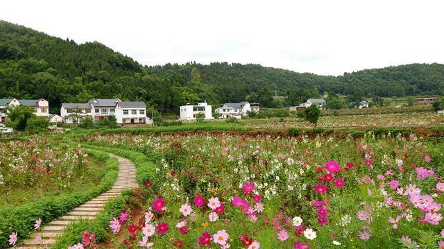 大邑县旅游景点看花图片