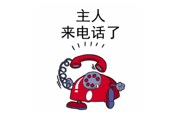 正准备躺下休息,突然一阵急促的电话铃声响起