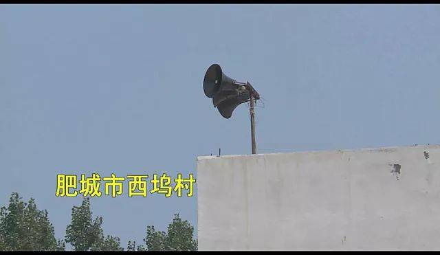 首批"山东省乡村禁毒广播站"站长 ——孙伯镇西坞村村书记雷军华做客