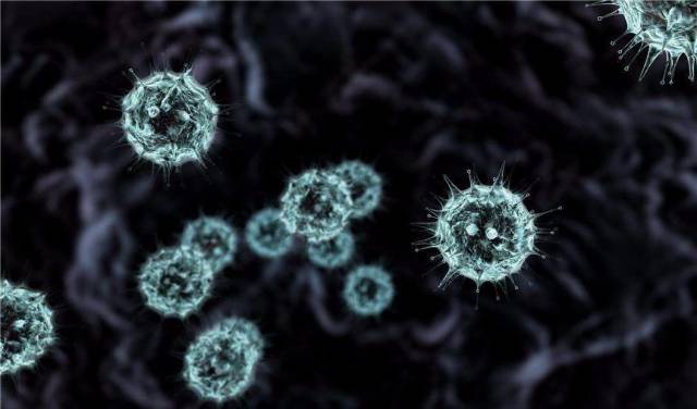 1939年我国科学家分离到乙脑病毒,解放后进行了大量调查研究工作,改名