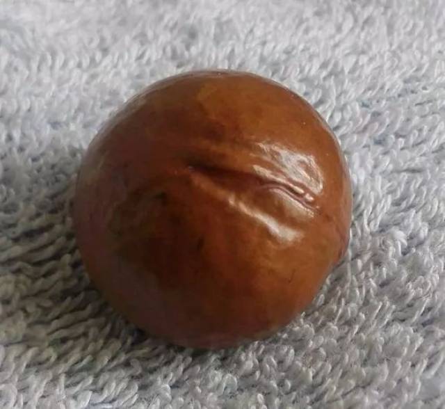 你扔的果核我捡回家,一个月盘包浆.给10000都不卖!