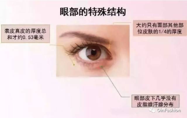眼睑的位置,婴儿,睑缘_大山谷图库