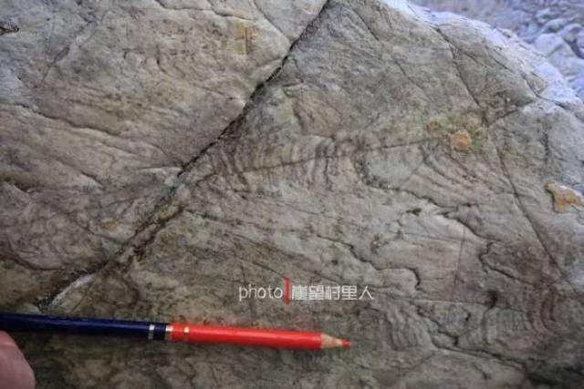 这个不是小褶皱,仍是叠层石构造,相当于是一个剖面视角