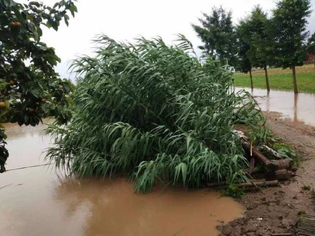 水沟变成河!今天江苏这10个地方要当心了