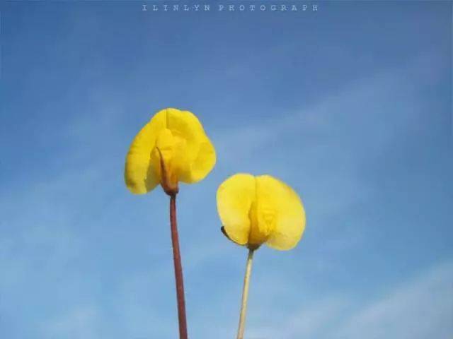 【招生】中央广播电视大学中等专科学校大连分