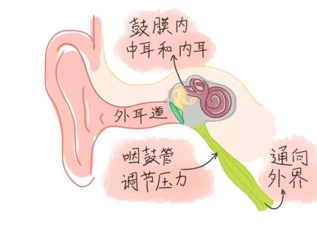 子弹壳做飞机步骤图解图片