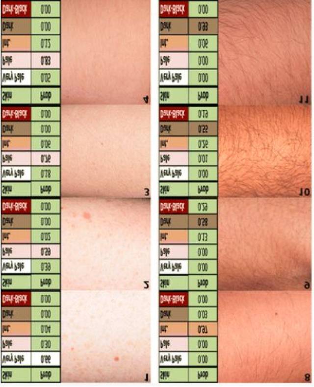 仅凭一滴血,能复原出谋杀犯长什么样吗?