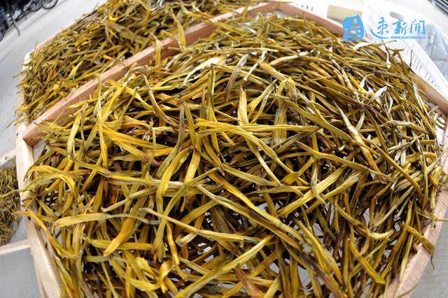 泗阳村民金针菜里淘真金