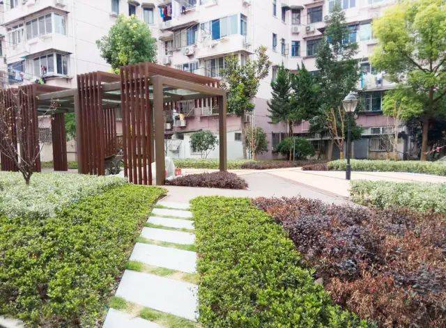 透水地坪中心花园近景图 新题型 3 垃圾分类人人有责,如何在精品小 