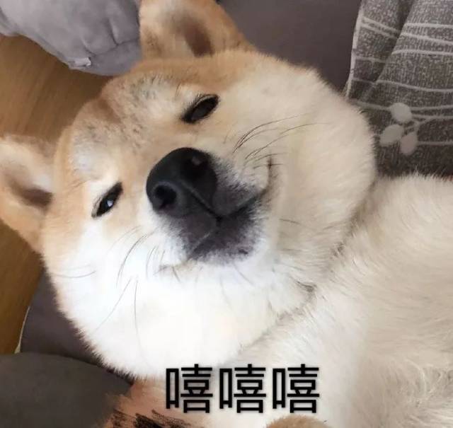 微信柴犬emoji图片