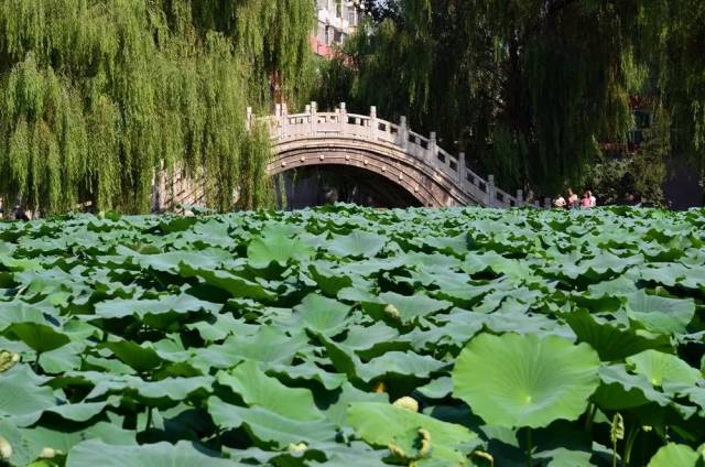 邢臺達活泉公園