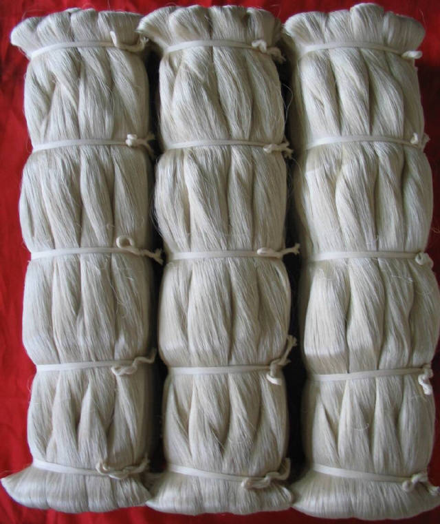 胡雪岩死前否定了自己的一生,后人应哀之鉴之