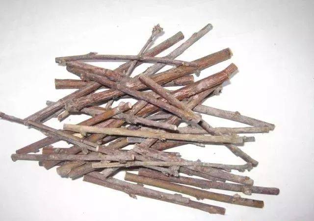 枯树枝,树摄影,一棵枯树图片_文秘苑图库