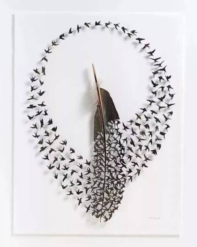 奇思妙想 | 收集鸟儿脱落的羽毛变魔术,作品令人惊叹