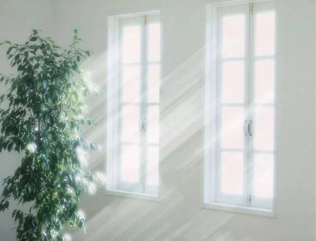 每个人的心里都有这样一束温暖的阳光,你给予别人的越多,自己得到的也