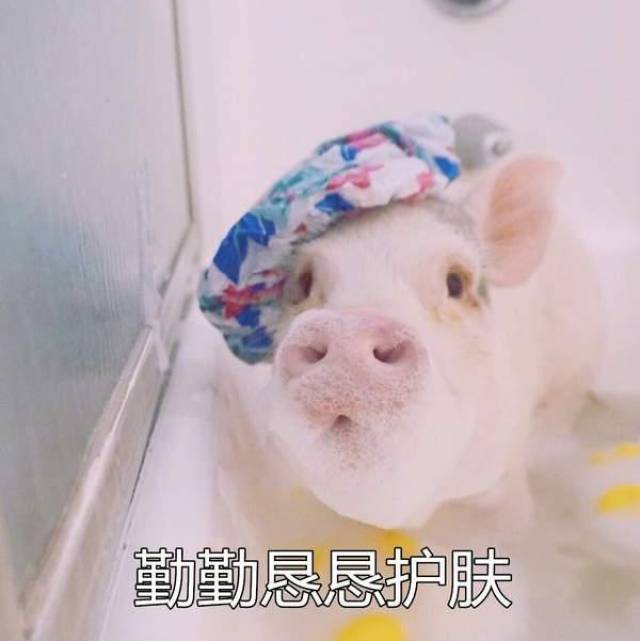 勤勤恳恳护肤