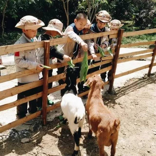 "清凉一夏"一起来和记农庄玩水打水仗吧