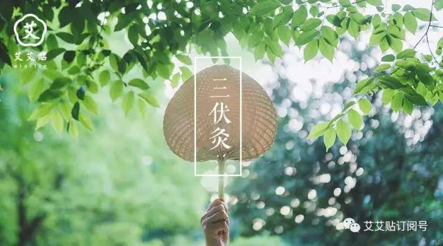 三伏灸图片素材,三伏艾灸图片,三伏灸的位置图片(第6页)_大山谷图库