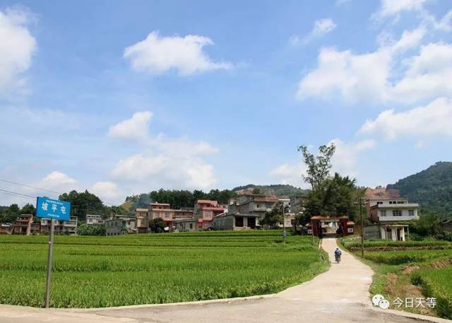 【头条】建设生态宜居的美丽乡村,坡平屯群众真给力!