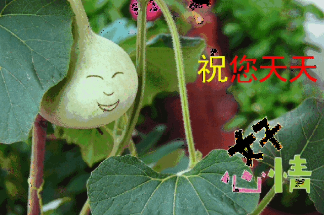 早上好2018表情 早上好问候语