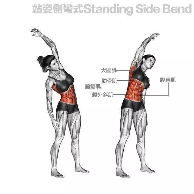 侧方式站姿图片,正确的站姿图片,站姿图片_大山谷图库
