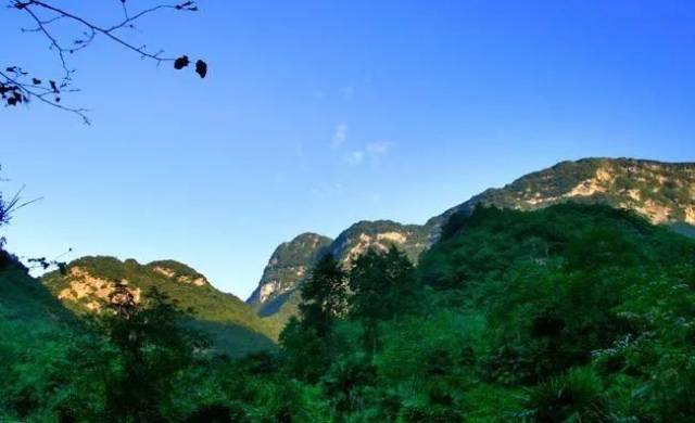 作為江油人,要知道竇圌山,老君山的秘密都在這裡