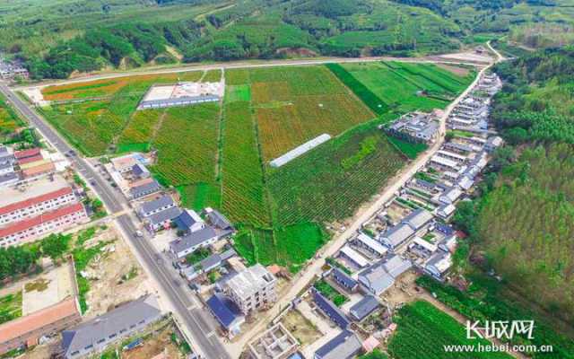 圍場縣扣花營村村莊綠化.承德市政府/供圖