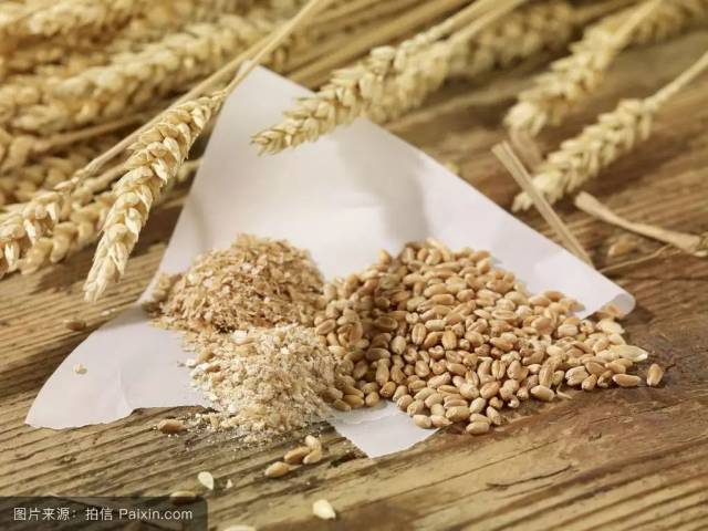 麦麸,通常指小麦磨成面筛过后剩下的麦皮和碎屑,也叫麸皮(做为饲料
