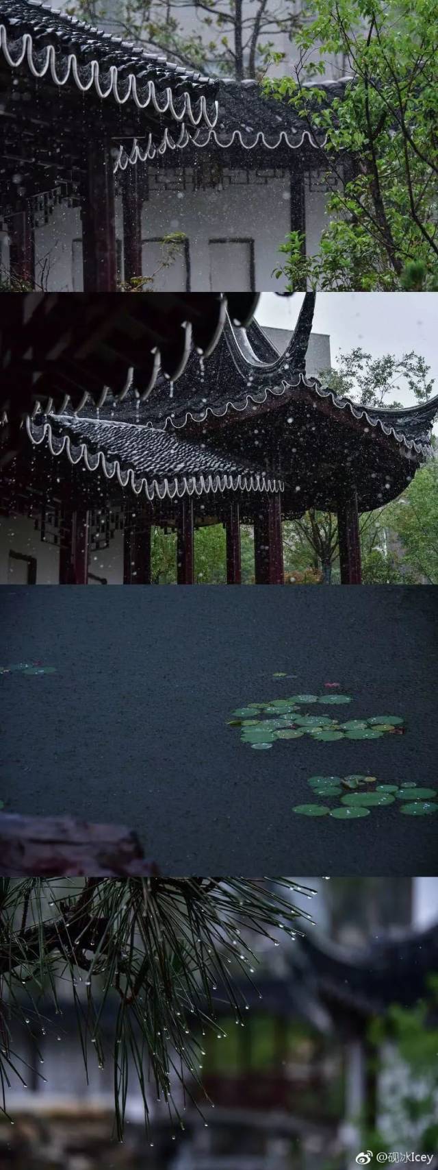 在南京大学,我终于找到和你躲雨的最美屋檐