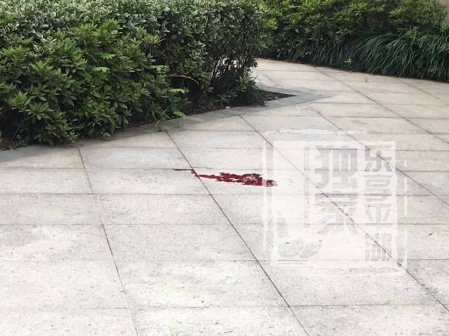 据围观群众透露, 孩子是一大早从8楼放置空调外机的平台掉下来的.