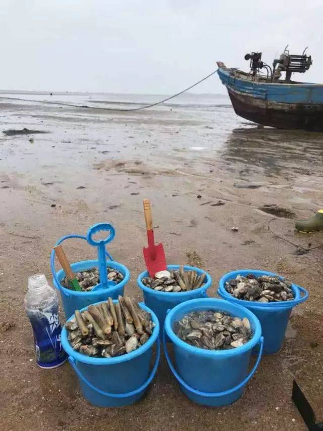 白沙灣趕海拾貝(養殖基地趕海) 海鮮大咖餐(網紅大鐵鍬)一日