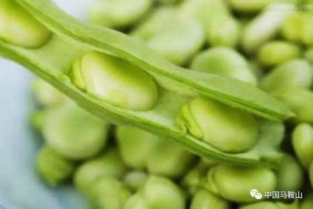 【诗城悦读】蚕豆香