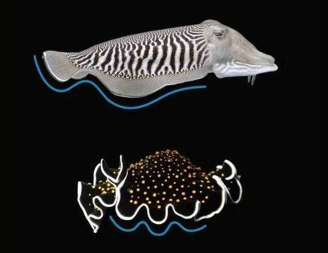 技术前沿这款3d打印的仿生水下机器鱼将被用于执行水下数据采集任务