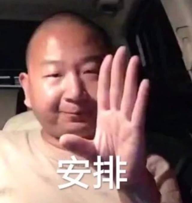 是時候來安排一下了,被安排得明明白白~ 近期最火表情包