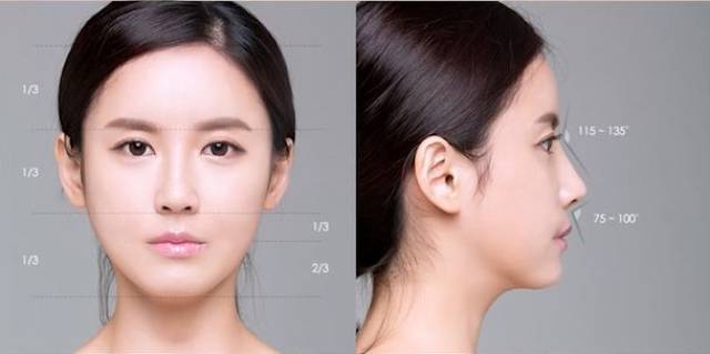 标准的鼻额角要在120°~135°左右,鼻子和上唇的角度应该在90°左右