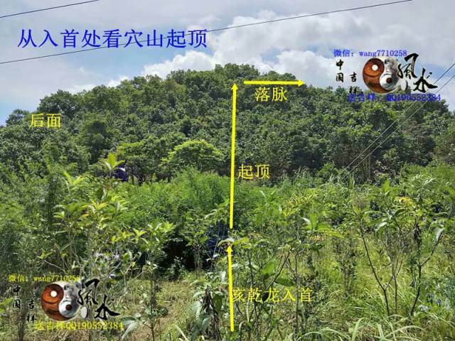 在穴山后面看来脉接气及起穴,此穴后有鱼塘环绕穴山,谓之水绕玄武