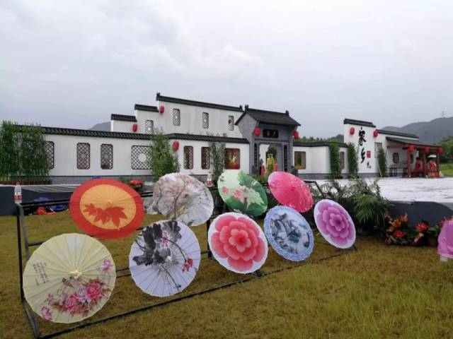 萧山区长将在全国观众面前为家乡代言央视又来啦这次在