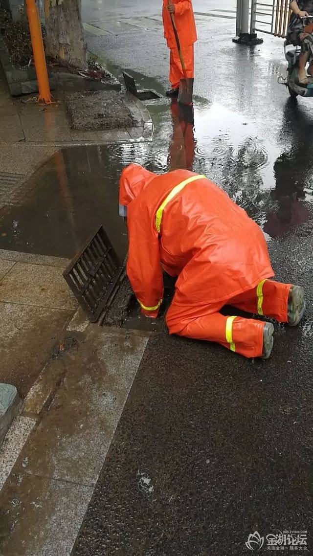 點贊|金湖有一群默默付出的人.