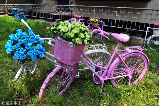 这些充满创意的景观设施是用小区里的废旧自行车改造而成的.