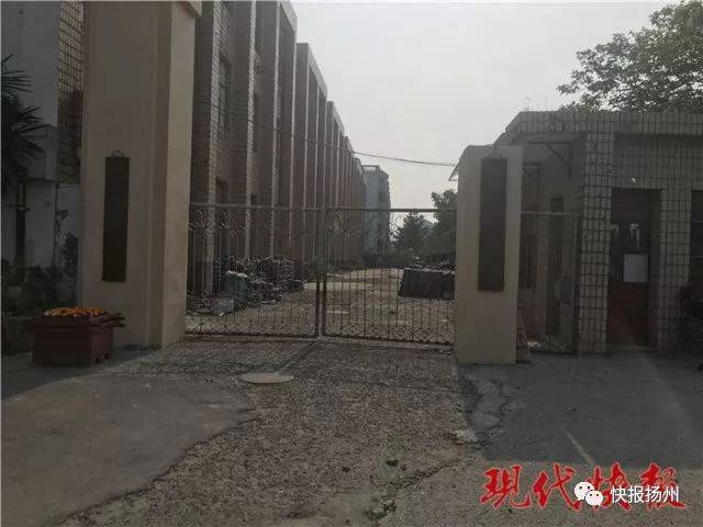 五金加工厂：未来工业之树的绿叶