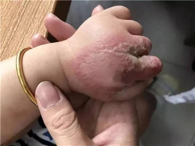 手机搜狐网