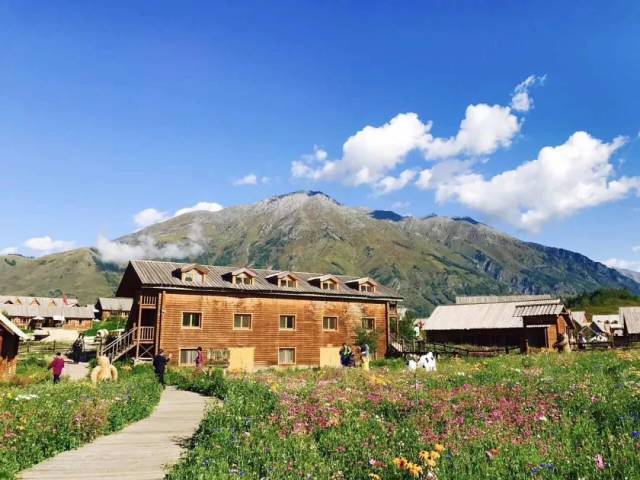 在禾木草原上,立于禾木村头,隐于山花原野间,纯粹却不失绝佳住宿体验